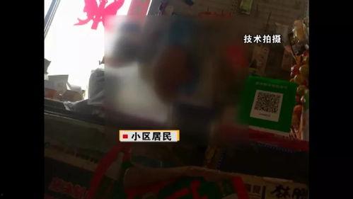 国产爽死视频播放在线,在线观看，畅享视听盛宴！  第2张