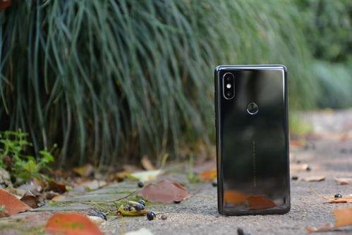 国产手机发布黑科技视频,黑科技视频揭秘未来智能生活 第1张 国产手机发布黑科技视频,黑科技视频揭秘未来智能生活 第1张