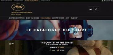 国产自拍视频影音先锋,影音先锋带你领略本土风情